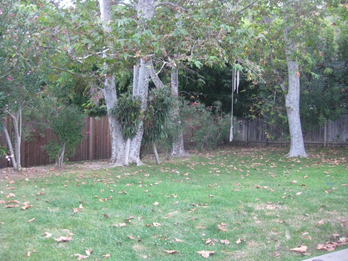 Heaven'S Best Kept Secret 4 Min From The Sea Los Angeles Ngoại thất bức ảnh