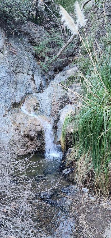 Heaven'S Best Kept Secret 4 Min From The Sea Los Angeles Ngoại thất bức ảnh