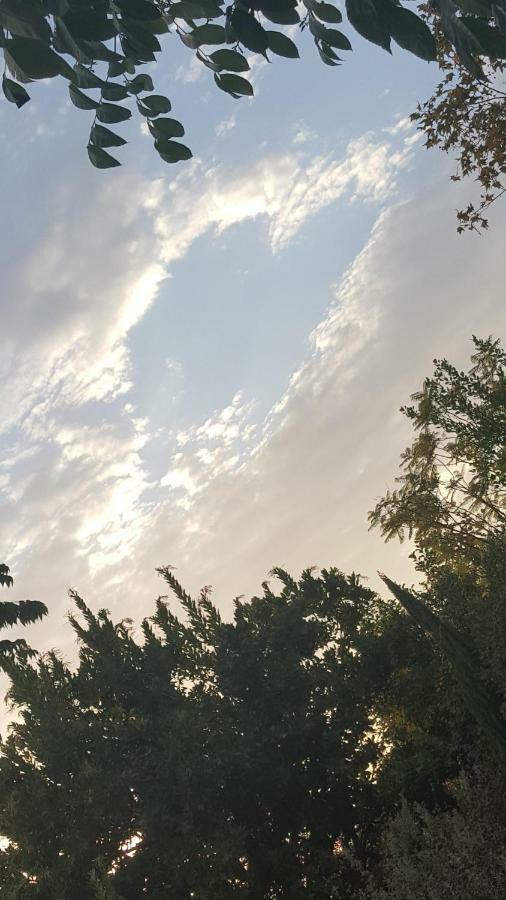Heaven'S Best Kept Secret 4 Min From The Sea Los Angeles Ngoại thất bức ảnh